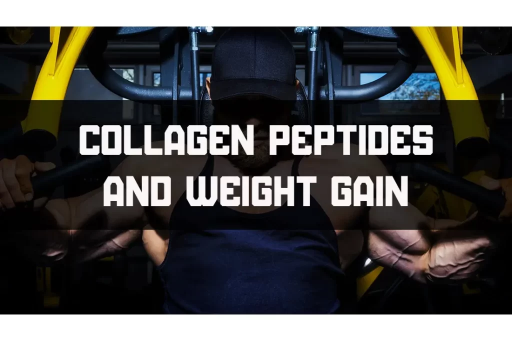 Peptidi di collagene e aumento di peso